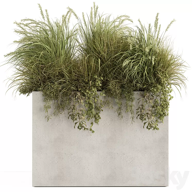 Plant Box – Outdoor Plants 480 3dskymodel