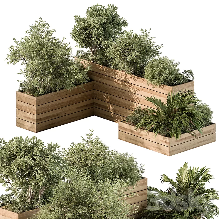 Plant Box – Outdoor Plants 487 3dskymodel