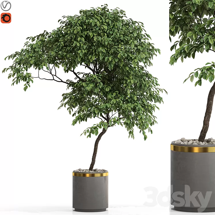 Plants collection 700 3dskymodel