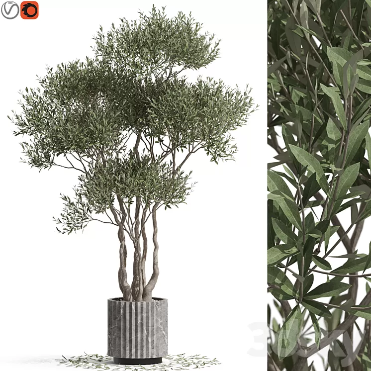 Plants collection 723 3dskymodel