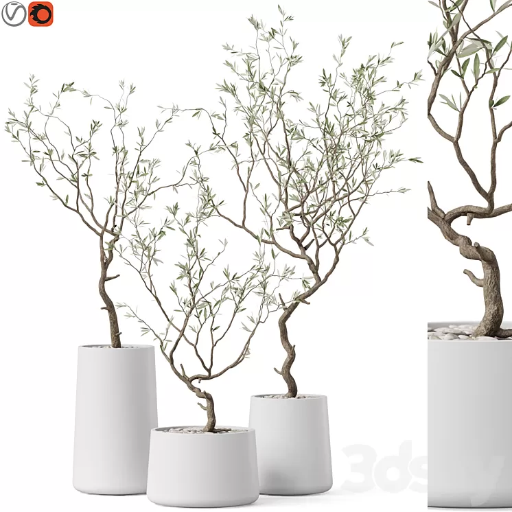Plants collection 887 3dskymodel