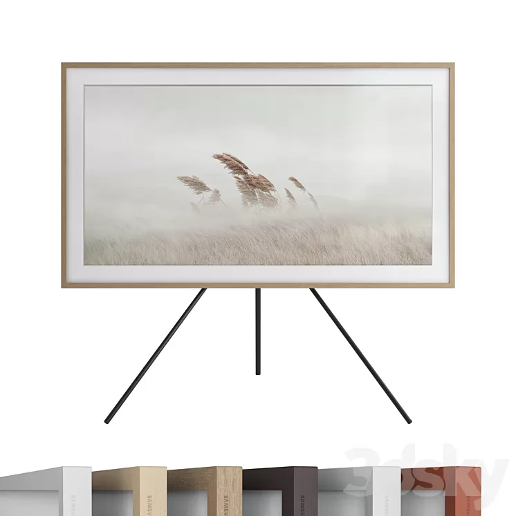 Samsung Class The Frame ArtMode QLED 4K HDR Smart TV (2020) 3dskymodel