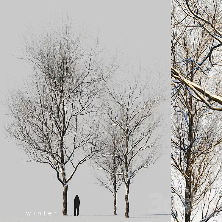 snow-covered trees 3dskymodel