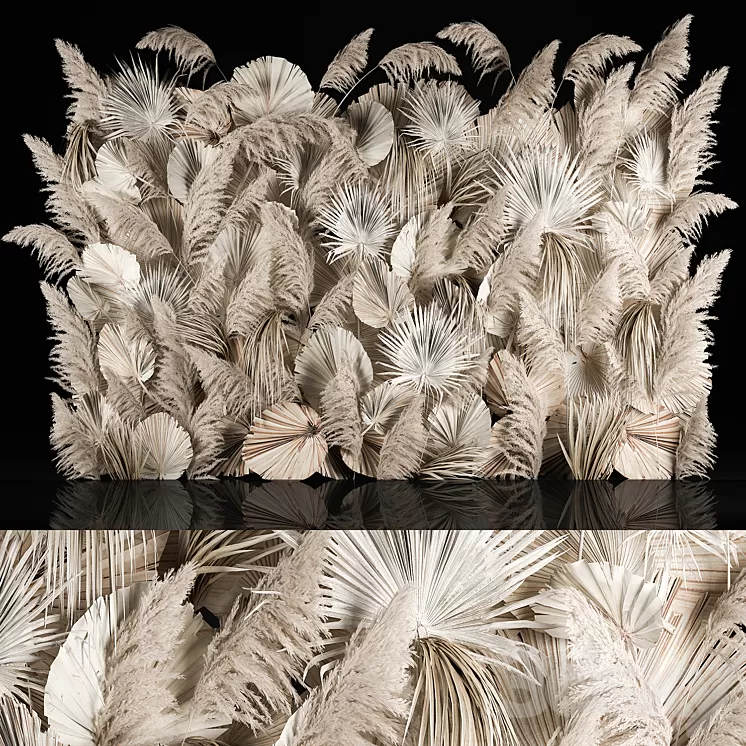 Vertical garden of dried flowers pampas grass dry palm branches Cortaderia Bouquet and dry reeds. 283. 3dskymodel