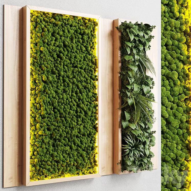 wall garden and vertical moss in wooden frame 22 3dskymodel