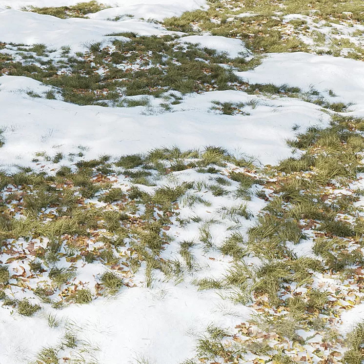 Winter Grass 01 3dskymodel